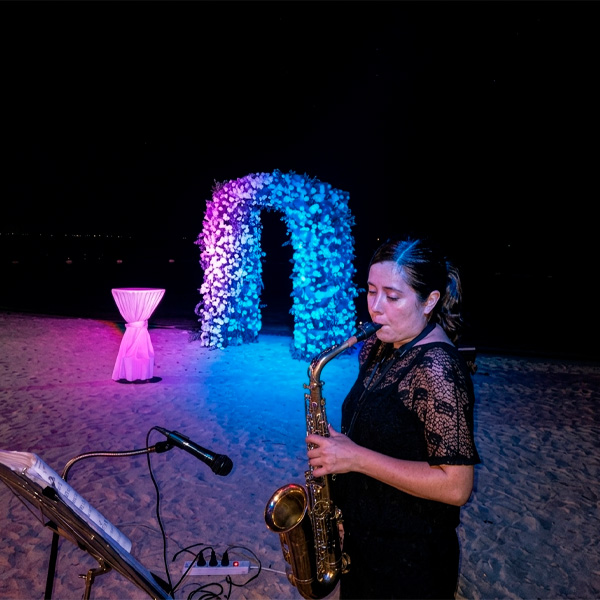 Lanzamiento de Marca